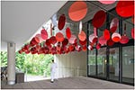 red/flow, 2018, Translational Research Center, Universitätsklinikum Erlangen