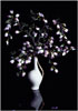 Stagebeauty 6, 2008